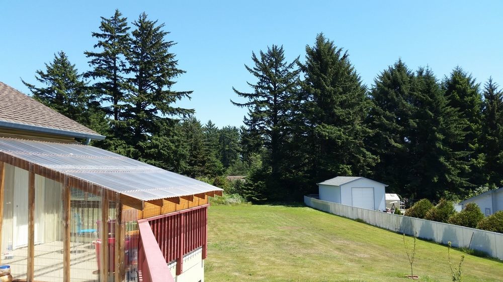 Arky'S B&B Smith River Exteriér fotografie
